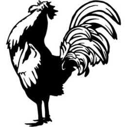 Rooster Cockerel Stickers – Farmyard Chicken Decals (2-Pack)