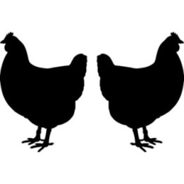 Chicken Hen Silhouette Stickers – Poultry Decals (2-Pack)