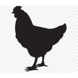 Chicken Silhouette Stickers – Hen Poultry Decals (2-Pack)