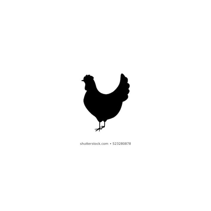 Chicken Silhouette Stickers – Hen Farm Decals (2-Pack)