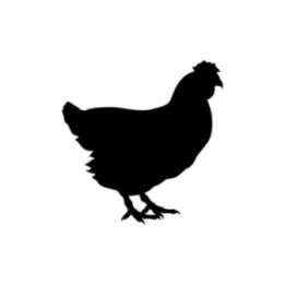 Chicken Hen Silhouette Stickers – Poultry Decals (2-Pack)