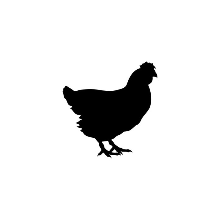Chicken Hen Silhouette Stickers – Poultry Decals (2-Pack)