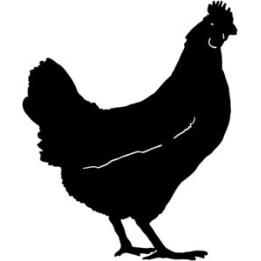 Chicken Silhouette Stickers – Hen Poultry Decals (2-Pack)