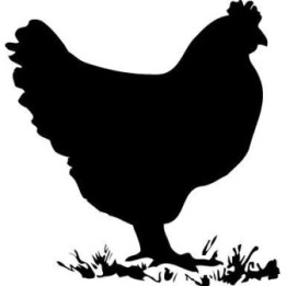 Chicken Stickers – Hen Silhouette Farmhouse Decals (2-Pack)