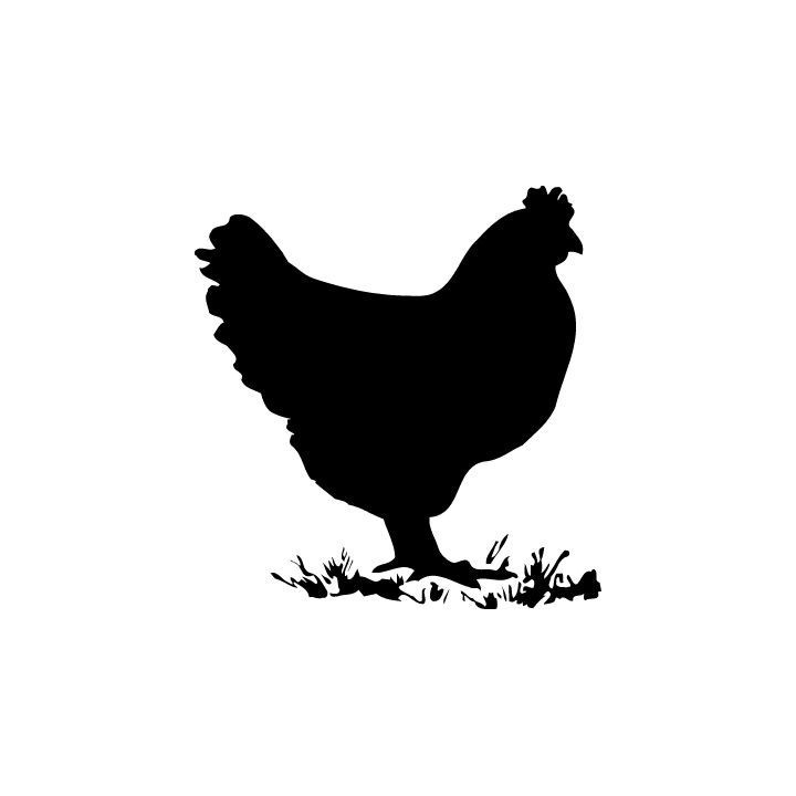 Chicken Stickers – Hen Silhouette Farmhouse Decals (2-Pack)
