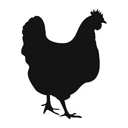 Chicken Silhouette Stickers – Hen Farm Decals (2-Pack)