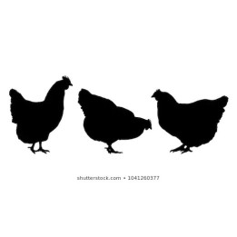 Chicken Silhouette Stickers – Hen Farm Decals (2-Pack)