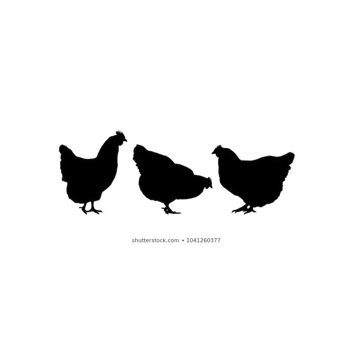 Chicken Silhouette Stickers – Hen Farm Decals (2-Pack)
