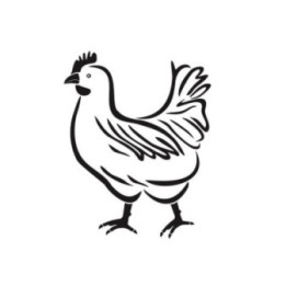 Chicken Stickers – Hen Silhouette Farm Decals (2-Pack)