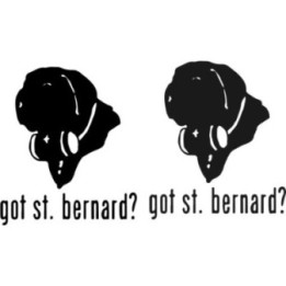 Buy Got Saint Bernard Dog Online