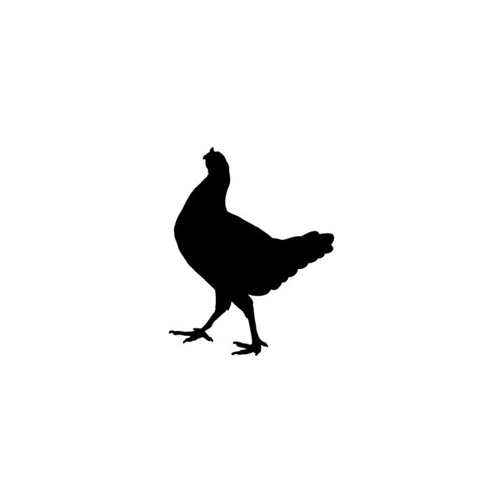 Chicken Hen Silhouette Stickers – Farm Decals (2-Pack)
