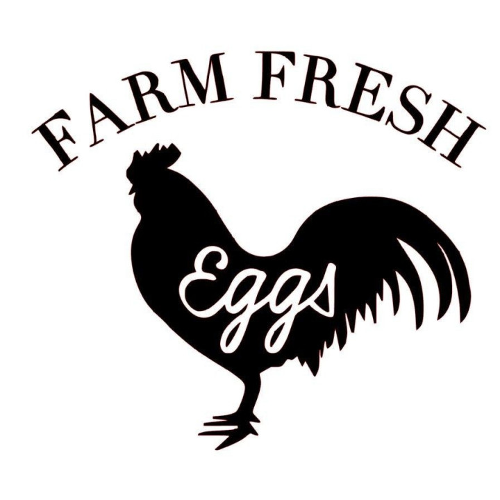 Farm Fresh Eggs Chicken Stickers – Rooster Decals (2-Pack)