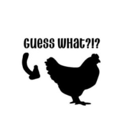 Guess What Chicken Butt Stickers – Funny Decals (2-Pack)
