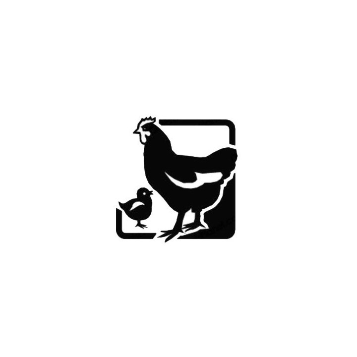 Chicken & Chick Stickers – Hen Poultry Decals (2-Pack)