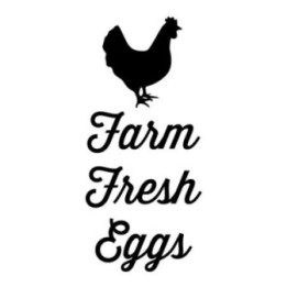 Farm Fresh Eggs Chicken Stickers – Hen Decals (2-Pack)