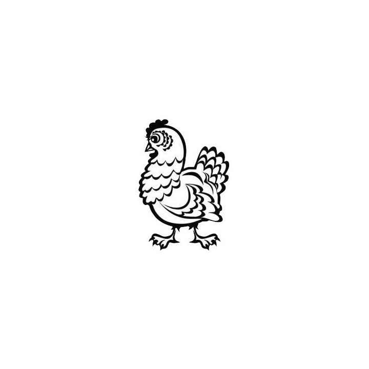 Chicken Stickers – Hen Farm Poultry Decals (2-Pack)