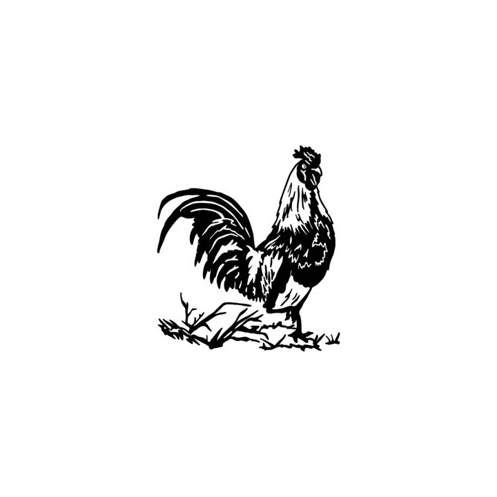 Rooster Chicken Stickers – Cockerel Silhouette Decals (2-Pack)