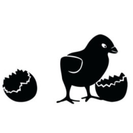 Baby Chick Hatching Stickers – Egg Shell Decals (2-Pack)