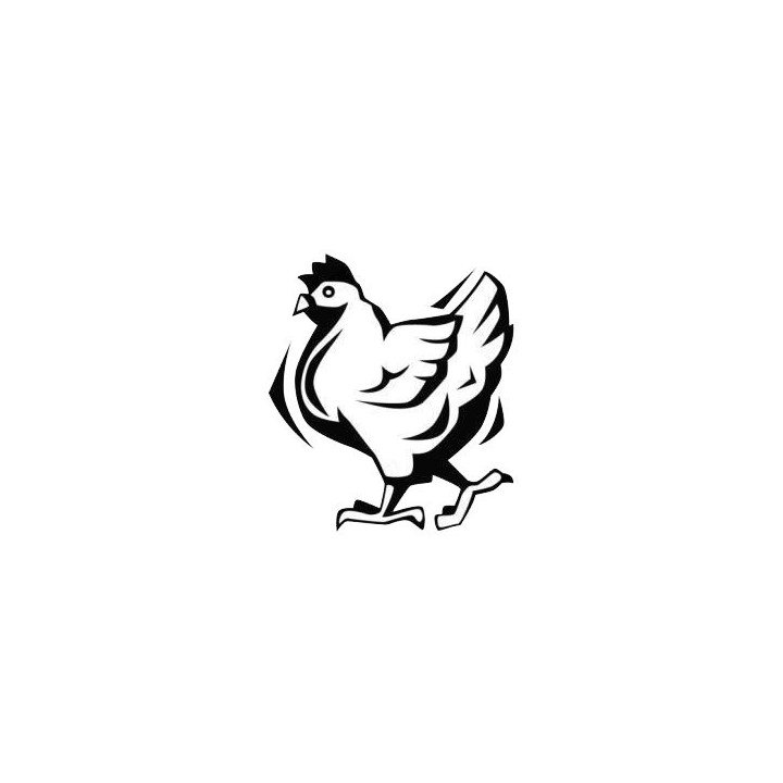 Chicken Stickers – Hen Poultry Farm Decals (2-Pack)
