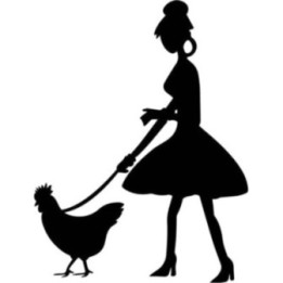 Lady Walking Chicken Stickers – Hen on Lead Decals (2-Pack)