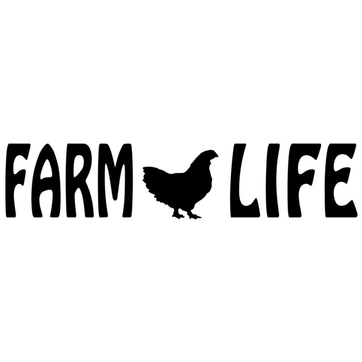 Farm Life Chicken Stickers – Hen Farming Decals (2-Pack)