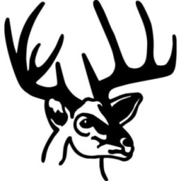 Buck Deer Vinyl Decal Sticker V12 - DecalsHouse