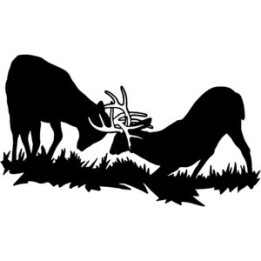 Buck Deer Vinyl Decal Sticker V17 - DecalsHouse