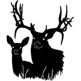 Buck Deer Vinyl Decal Sticker V19 - DecalsHouse