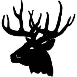 Buck Deer Vinyl Decal Sticker V23 - DecalsHouse