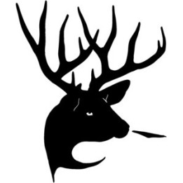 Buck Deer Vinyl Decal Sticker V24 - DecalsHouse