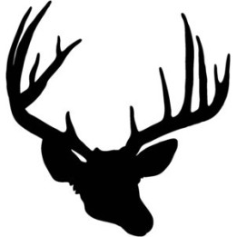 Buck Deer Vinyl Decal Sticker V25 - DecalsHouse