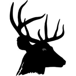 Buck Deer Vinyl Decal Sticker V26 - DecalsHouse
