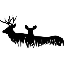 Buck Deer Vinyl Decal Sticker V28 - DecalsHouse