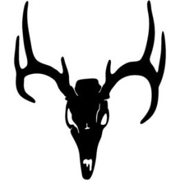Buck Deer Vinyl Decal Sticker V34 - DecalsHouse
