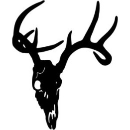 Buck Deer Vinyl Decal Sticker V35 - DecalsHouse