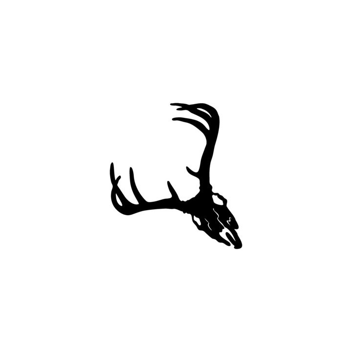 Buck Deer Vinyl Decal Sticker V37 - DecalsHouse