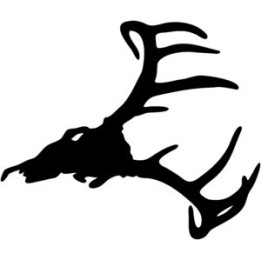 Buck Deer Vinyl Decal Sticker V38 - DecalsHouse