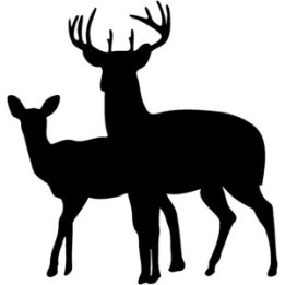 Buck Deer Vinyl Decal Sticker V5 - DecalsHouse