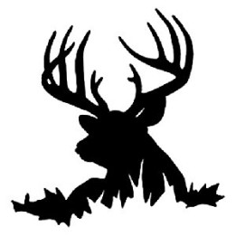 Buck Deer Vinyl Decal Sticker V50 - DecalsHouse