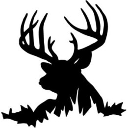 Buck Deer Vinyl Decal Sticker V6 - DecalsHouse