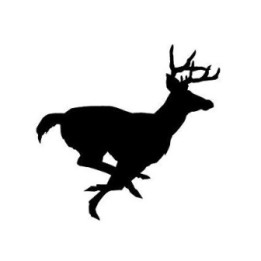 Buck Deer Vinyl Decal Sticker V67 - DecalsHouse