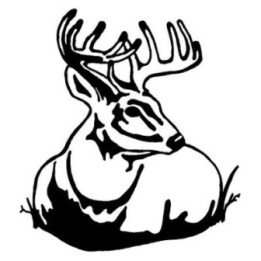 Buck Deer Vinyl Decal Sticker V81 - DecalsHouse