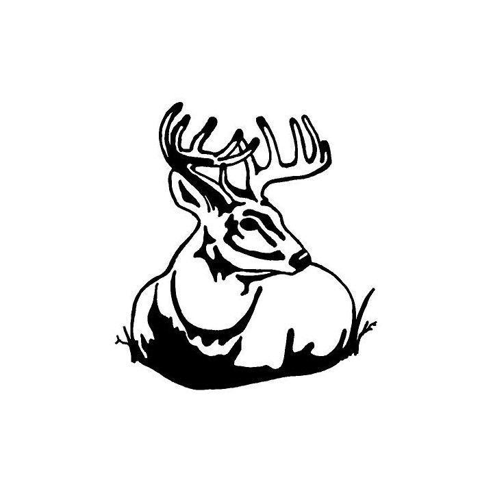 Buck Deer Vinyl Decal Sticker V81 - DecalsHouse