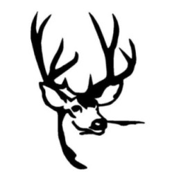 Buck Deer Vinyl Decal Sticker V84 - DecalsHouse
