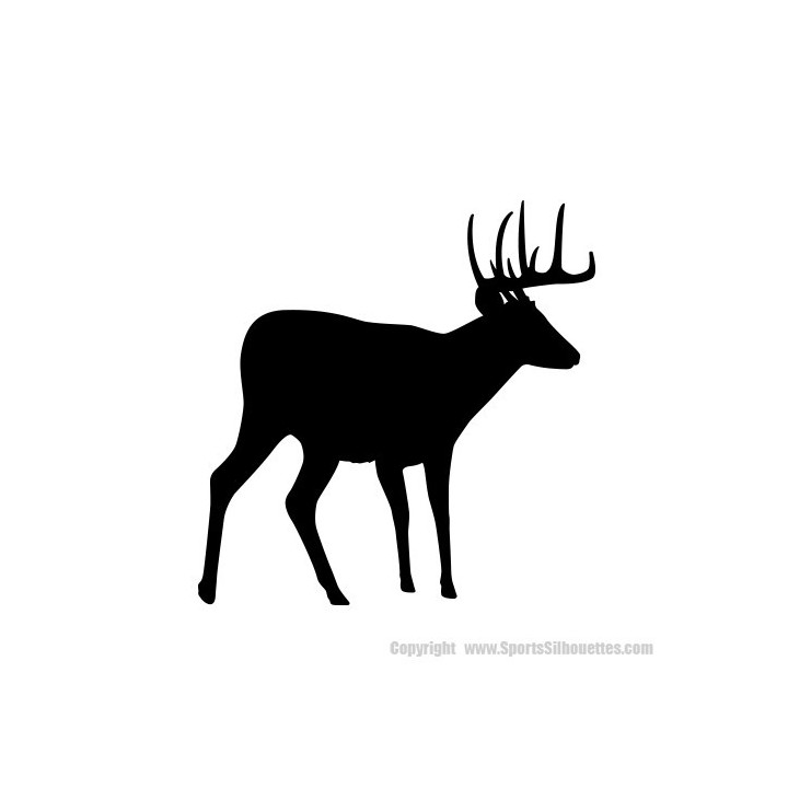 Buck Deer Vinyl Decal Sticker V88 - DecalsHouse