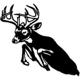 Buck Deer Vinyl Decal Sticker V90 - DecalsHouse