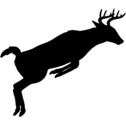 Buck Deer Vinyl Decal Sticker - DecalsHouse