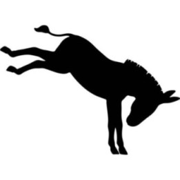 Donkey Kicking Stickers – Bucking Mule Decals (2-Pack)