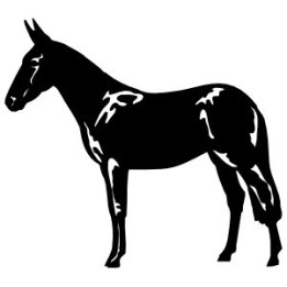 Donkey Stickers – Mule Silhouette Farm Decals (2-Pack)
