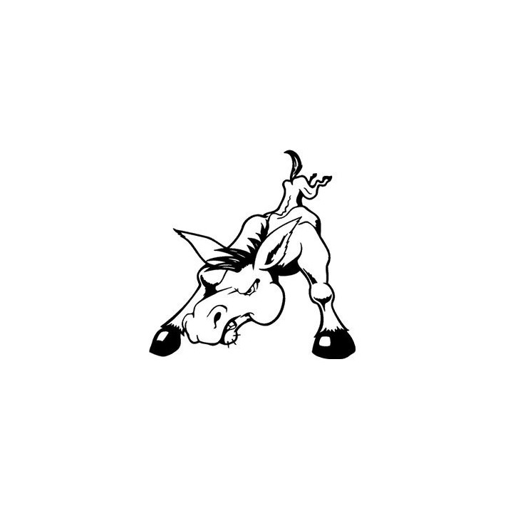 Donkey Stickers – Angry Burro Animal Decals (2-Pack)